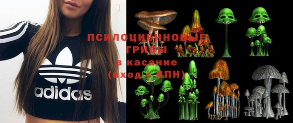 спайс Богородицк